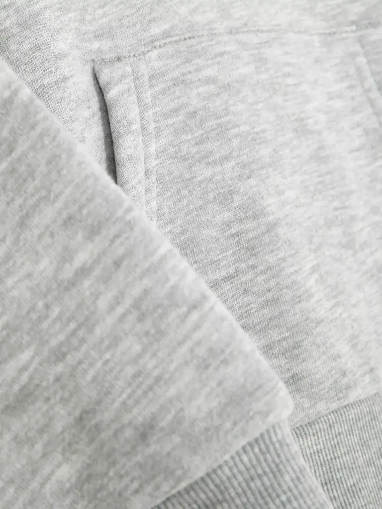 Sweat à capuche classique Gris 