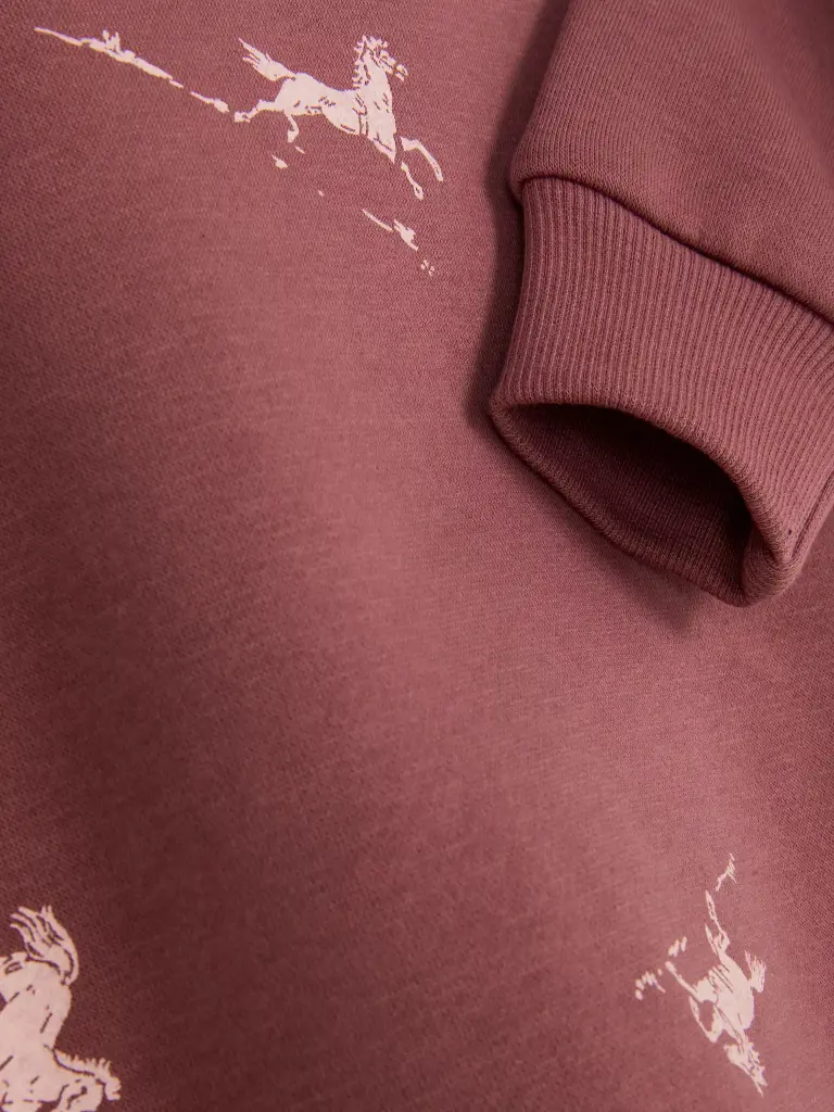 Sweat à capuche imprimé Rose foncé