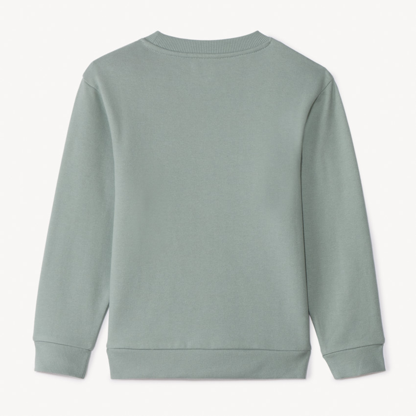 Sweat en molleton gratté uni pour garçon vert