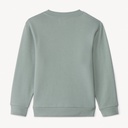 Sweat en molleton gratté uni pour garçon vert