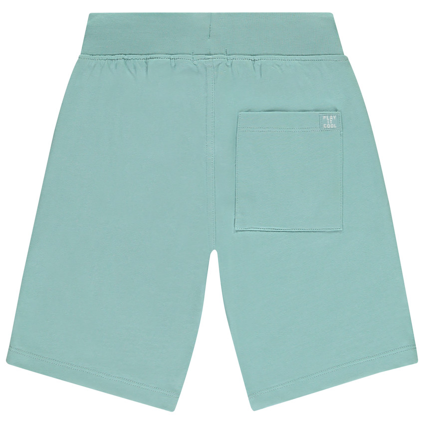Lot de 2 bermudas unis pour garçon Turquoise 