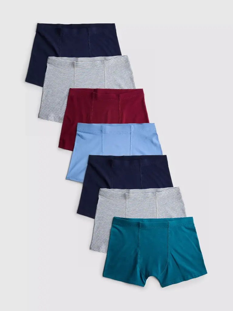 Lot de 10 culottes Essential bleu