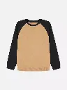 Sweat-shirt color block Fauve
